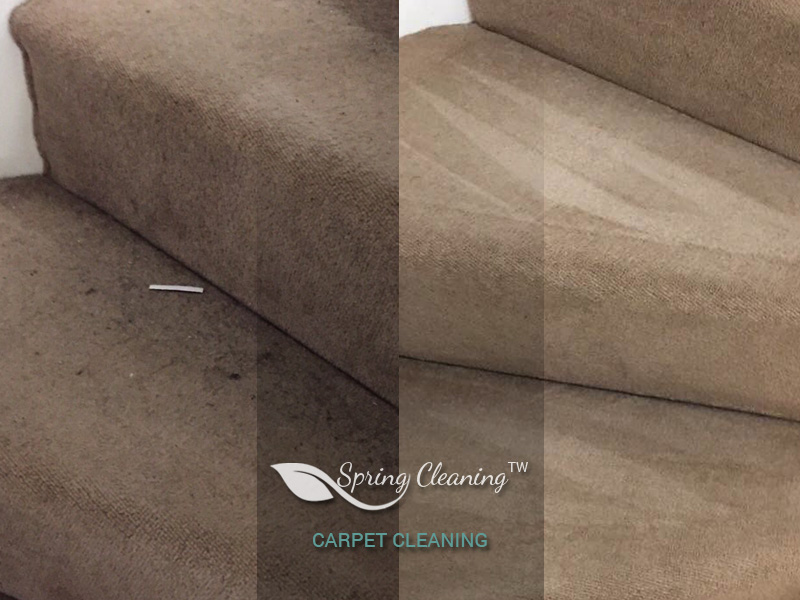 Professional carpet cleaning in progress