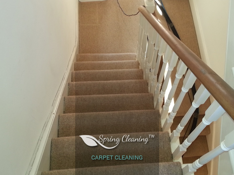 Rug refreshed by Spring Cleaning TW
