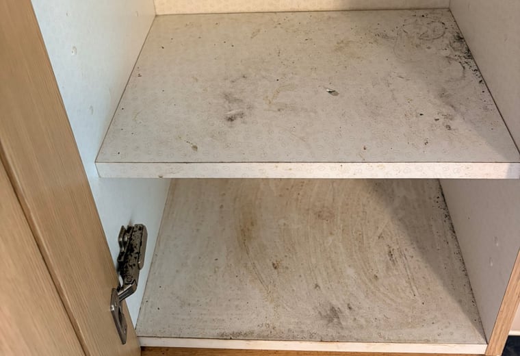 Cupboard clean-out before professional cleaning